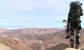 bow hunter overlooking canyon