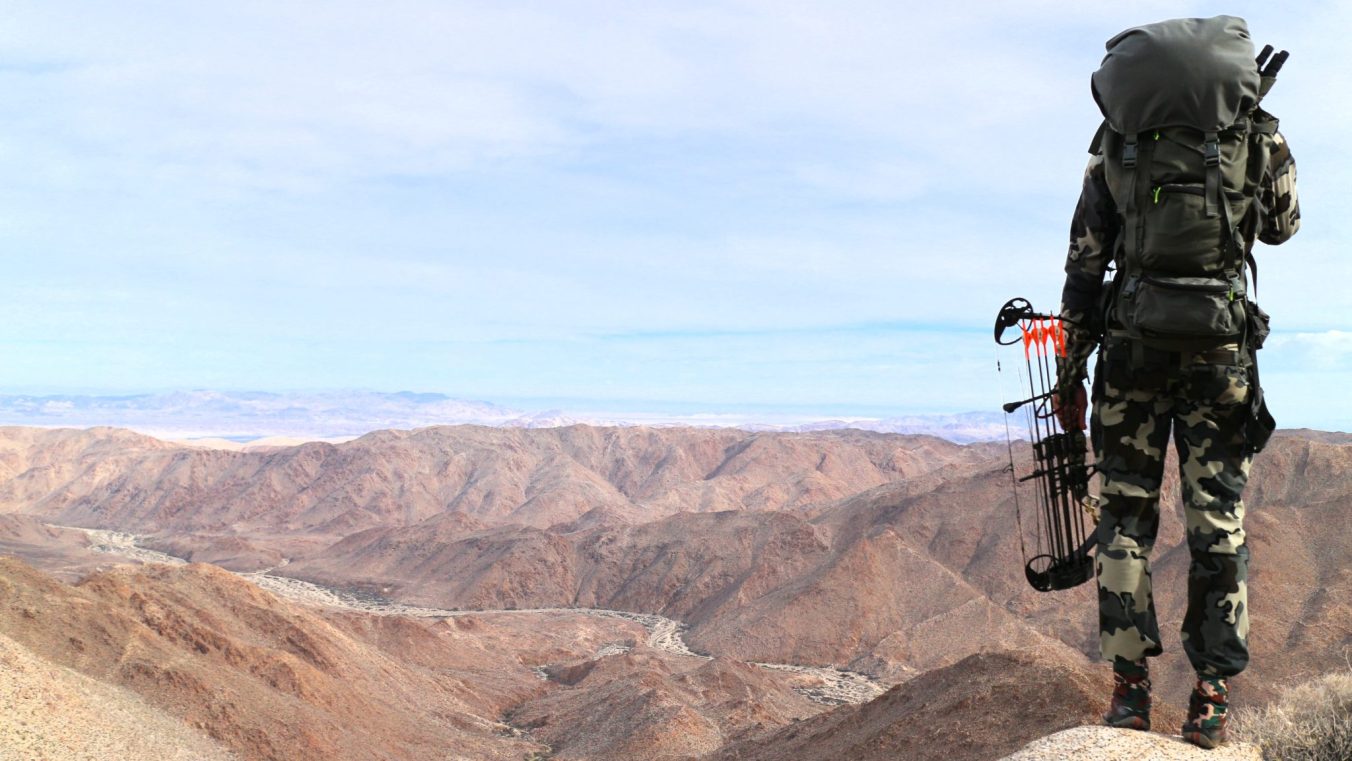 bow hunter overlooking canyon